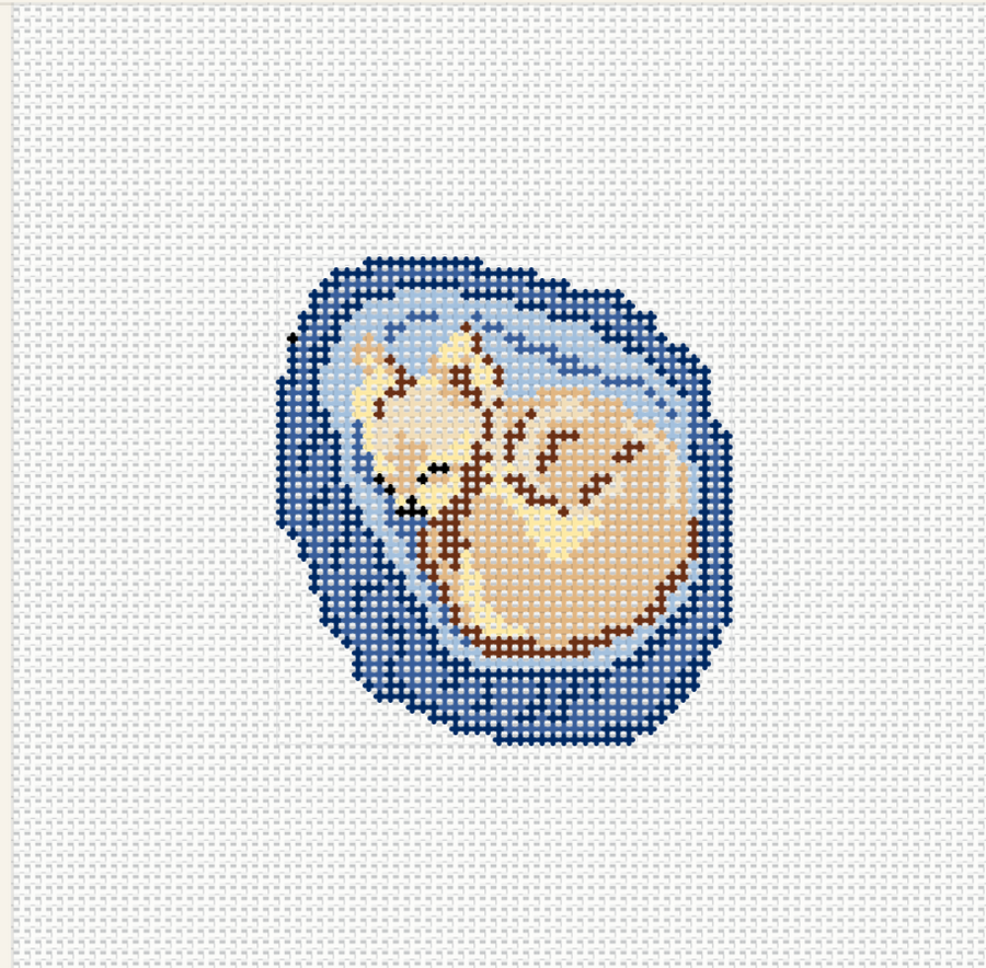 Chihuhua- Little Boy in a Little Bed