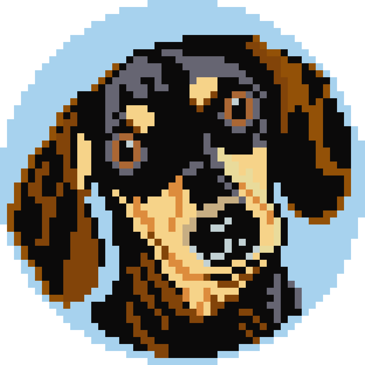 The Tri-Color Dachshund Needlepoint Canvas