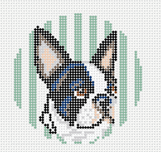The Boston Terrier - Needlepoint Canvas