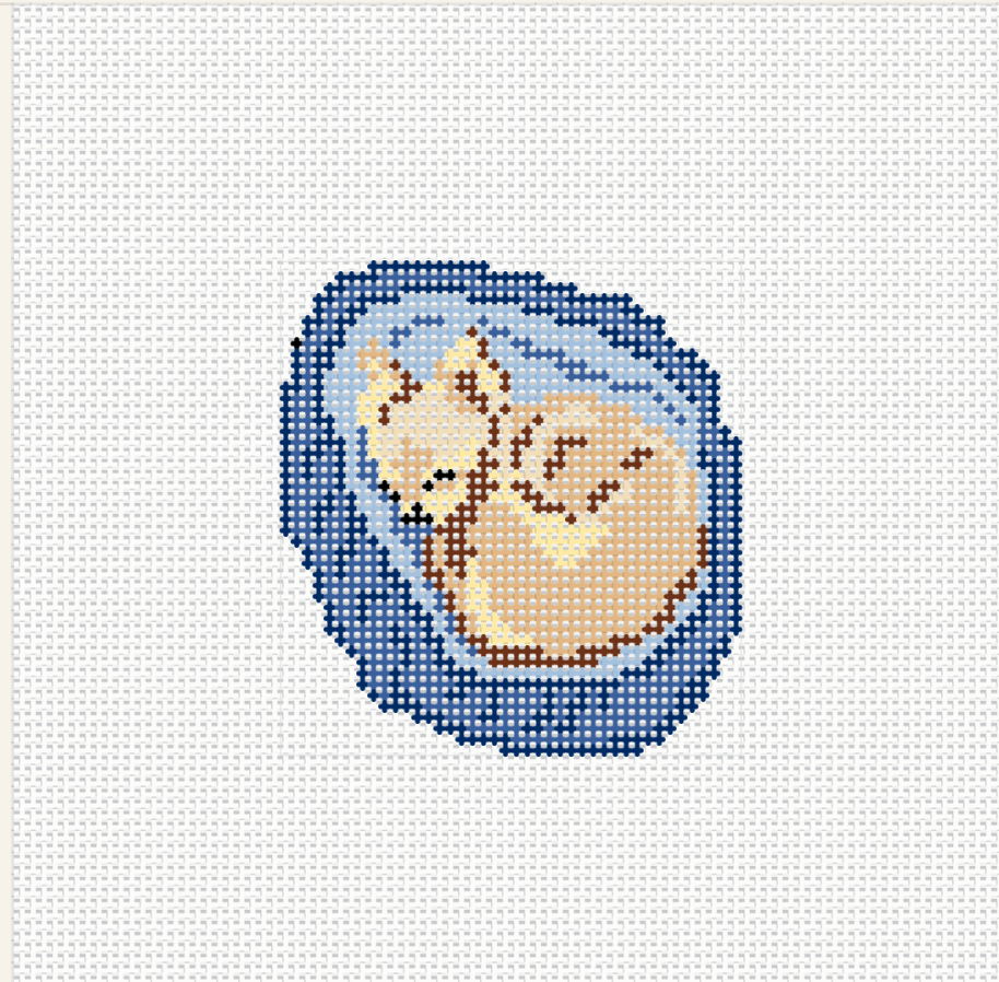 Chihuhua- Little Boy in a Little Bed