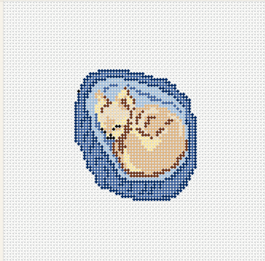 Chihuhua- Little Boy in a Little Bed